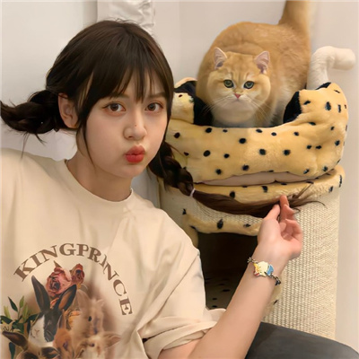 巴彦淖尔伴游女生星晓莉的资料
